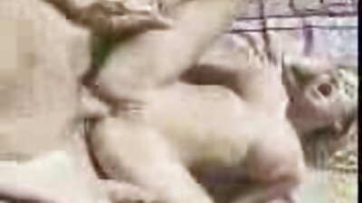 Cālis ar lielām viltus krūtīm šodien ir smagi izdrāzts uz dīvāna